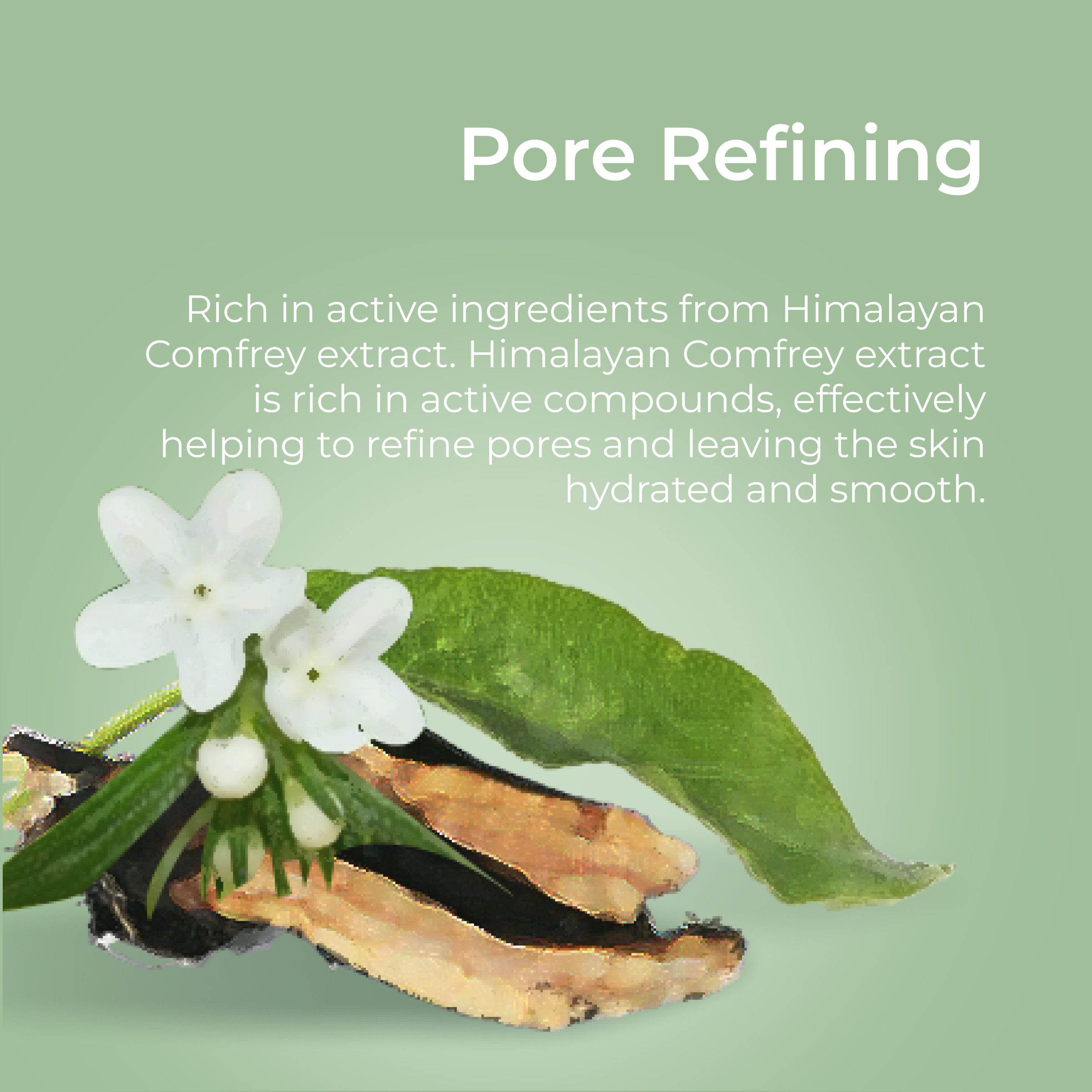 CHANDO Himalaya Comfrey Pore-Tightening Mask