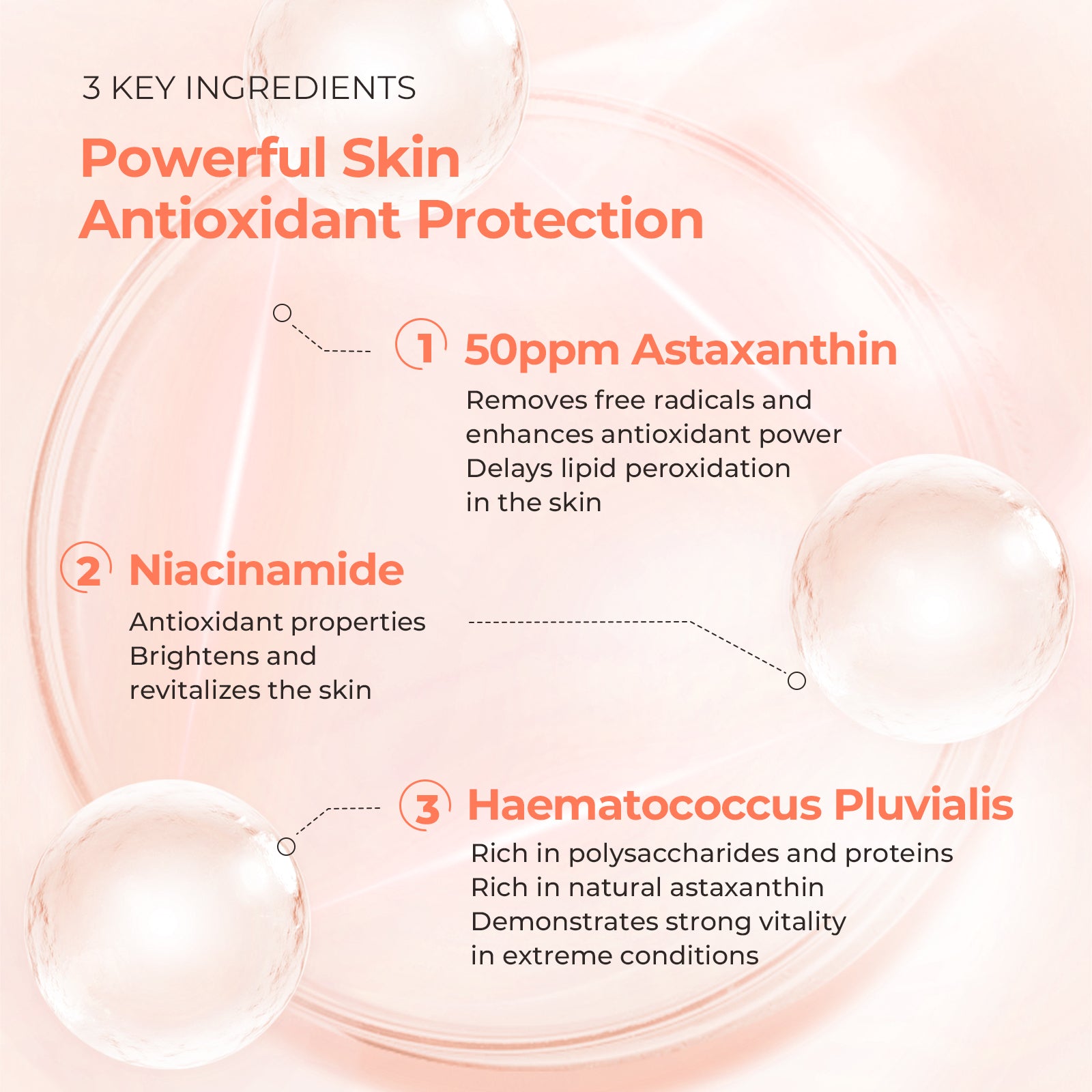 CHANDO Himalaya 2-Step Astaxanthin Firming Ampoule Mask