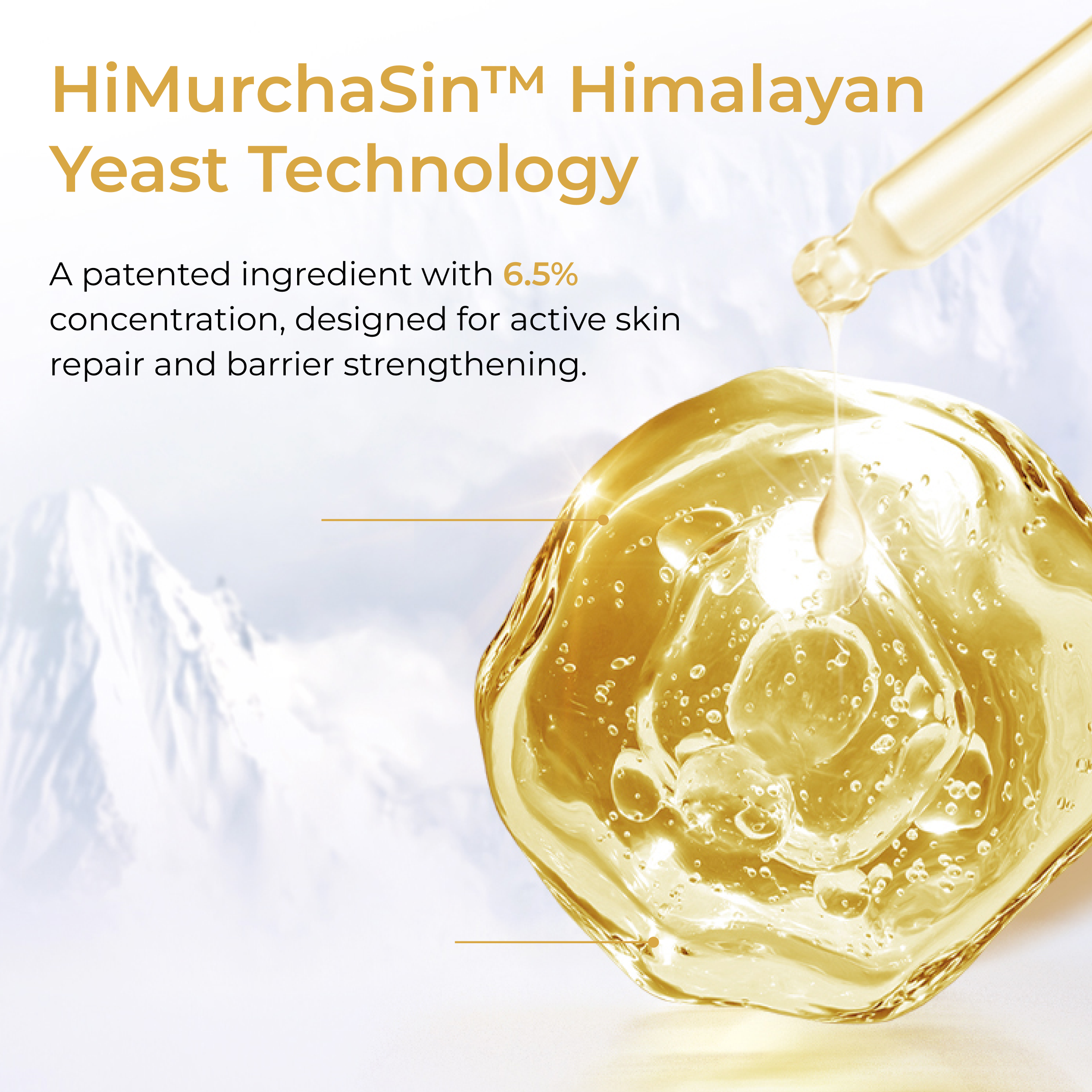 CHANDO Himalaya 2-Steps Ferment Repairing Ampoule Mask